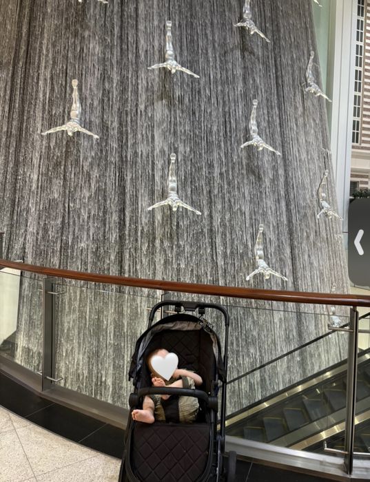 Коляска универсальная 2 в 1