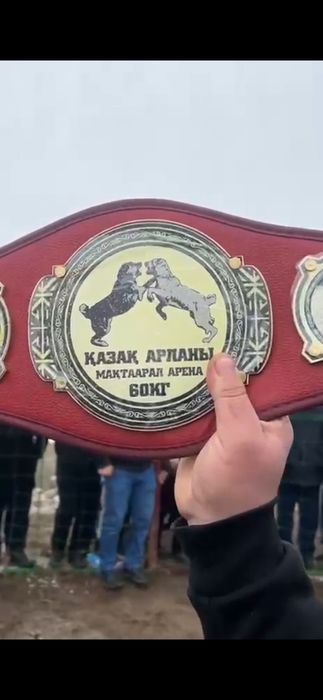 Шенок илитных кровей