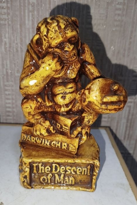 Обезьяна с черепом