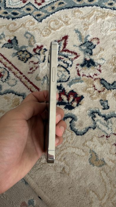 Iphone 12 pro.