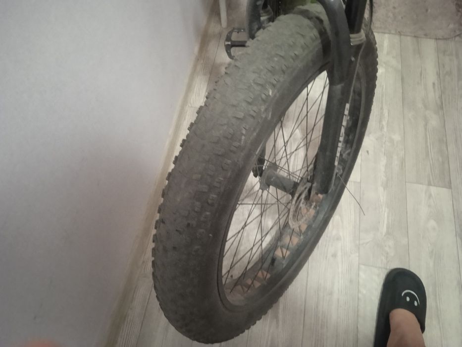 Велосипед Cruzer Alligator