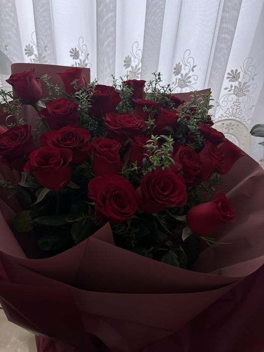 розы новые 23 шт