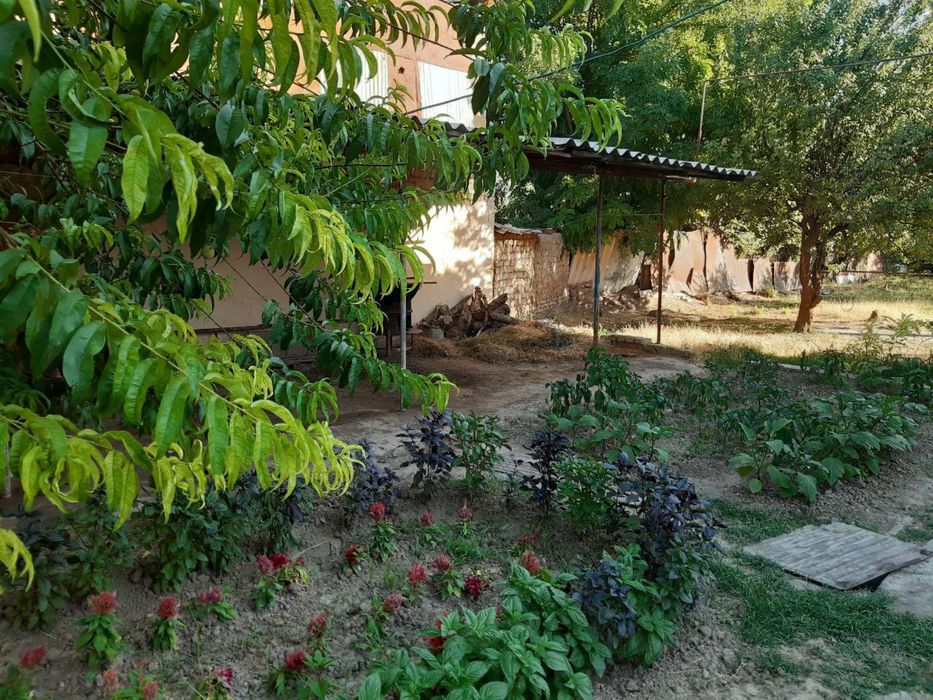 Уй сотилади Кибрай 14 сотих