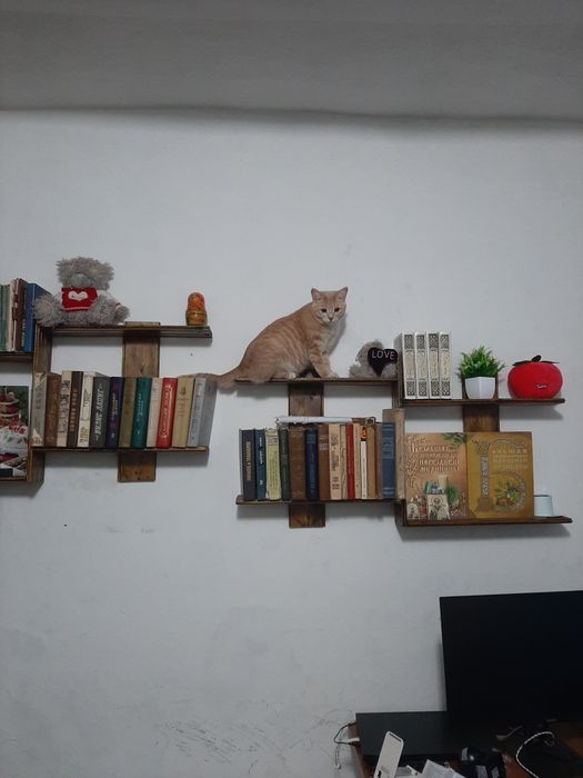 Продам книжные полочки