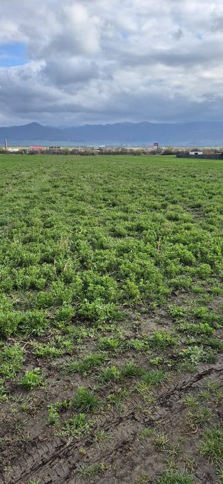 Teren  extravilan  5100 m²