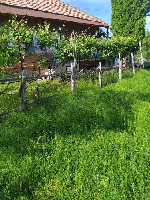 Vand casa si teren