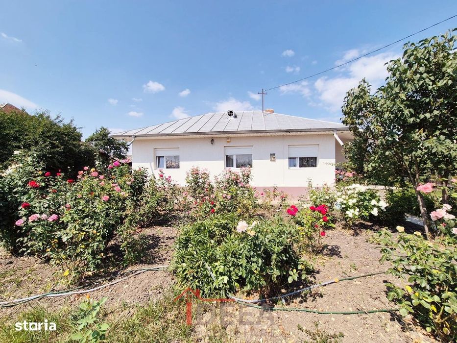 Casa cu teren generos de 2500 mp, Comuna Girov