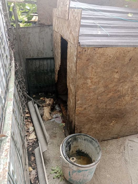 Будка для собаки, утеплена, большая,