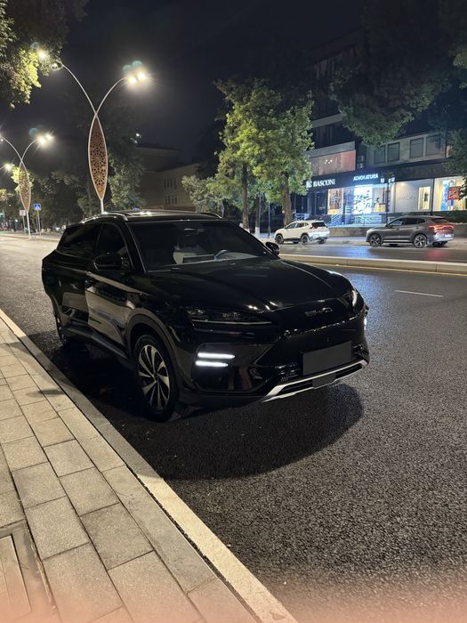 BYD song plus champion