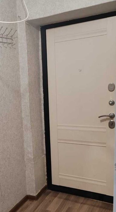 Однокомнатная в аренду