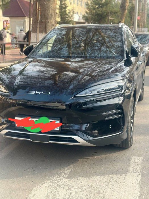 Byd champion qora 2024