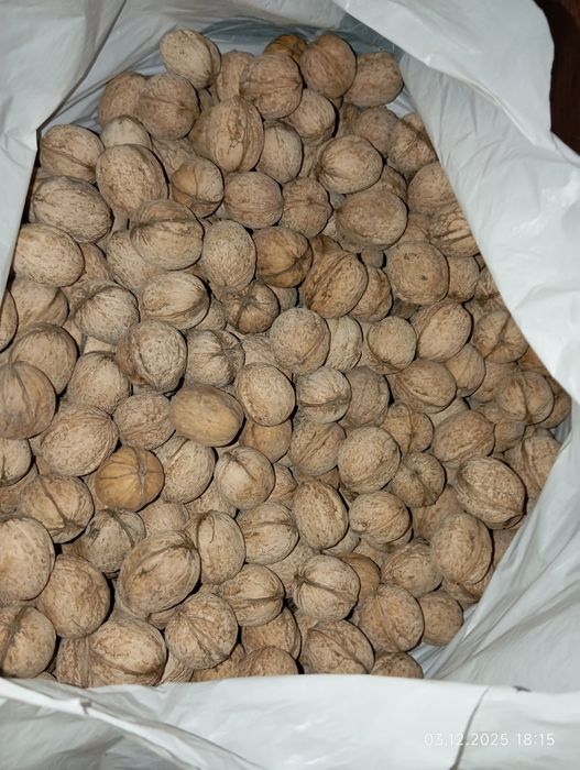 Орехи грецкие, жаңғақ