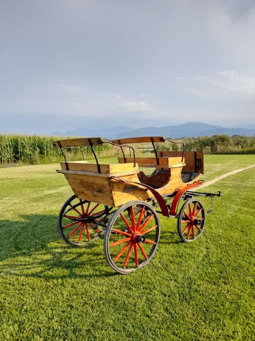 Trasura                                       Sau schimb.            .