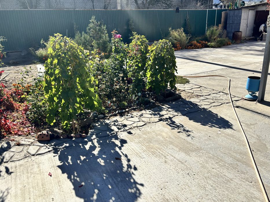 Д о м  час тны й