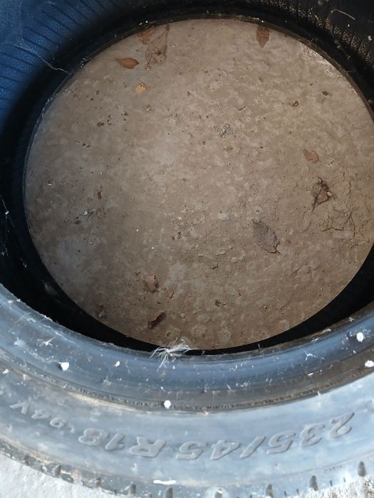 Жаздык донгелектер