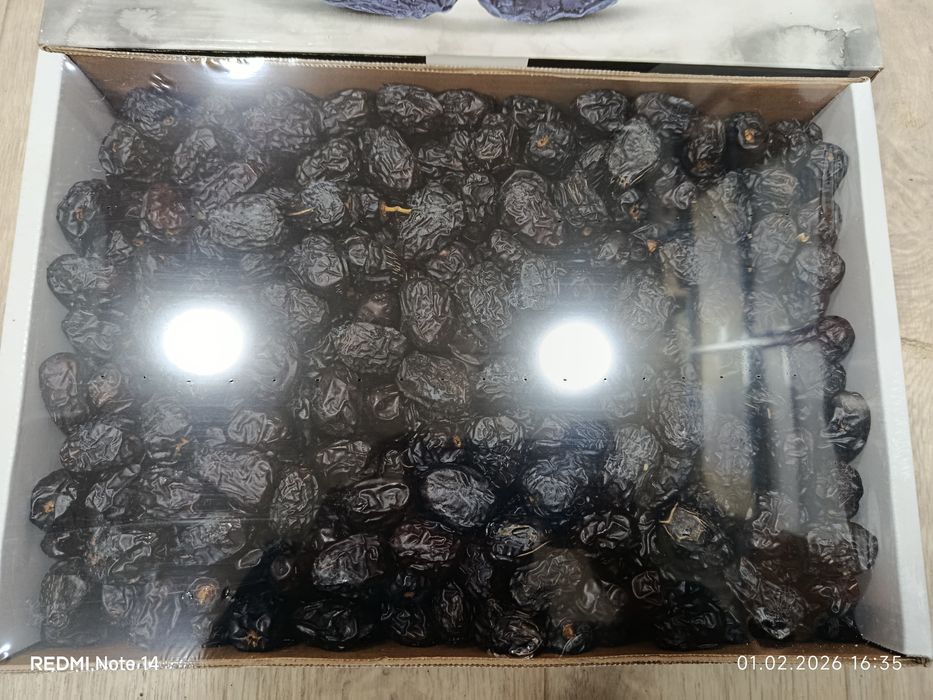 Ajva Saudiya arabistoni xurmosi optim