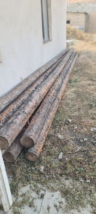 Кругляктар сатылат