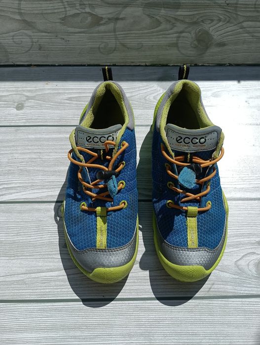 Ecco Biom N 33 Топ цена