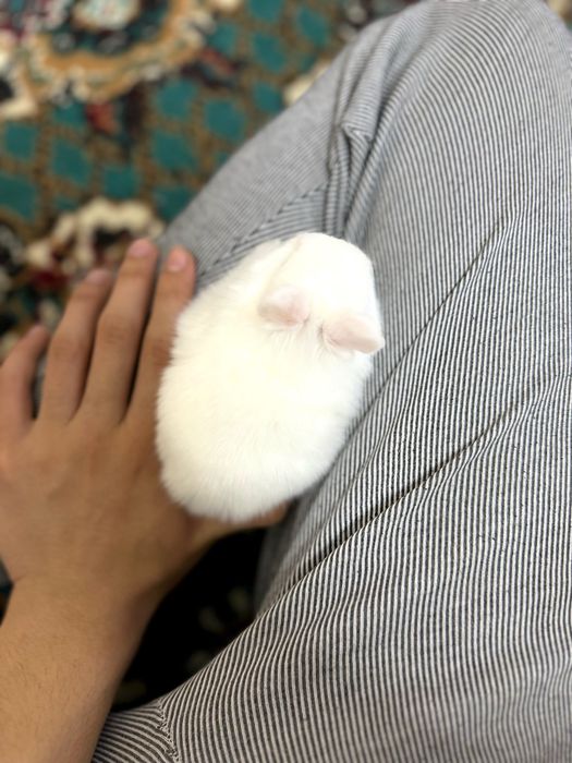 Mehr ko‘rgan bola mehr beradi