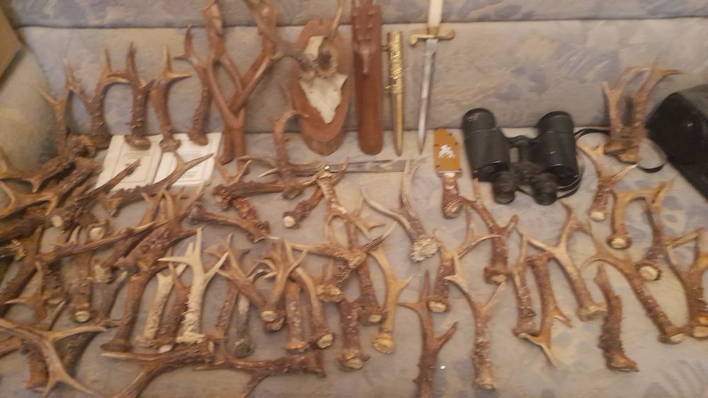 Cornite de caprior..