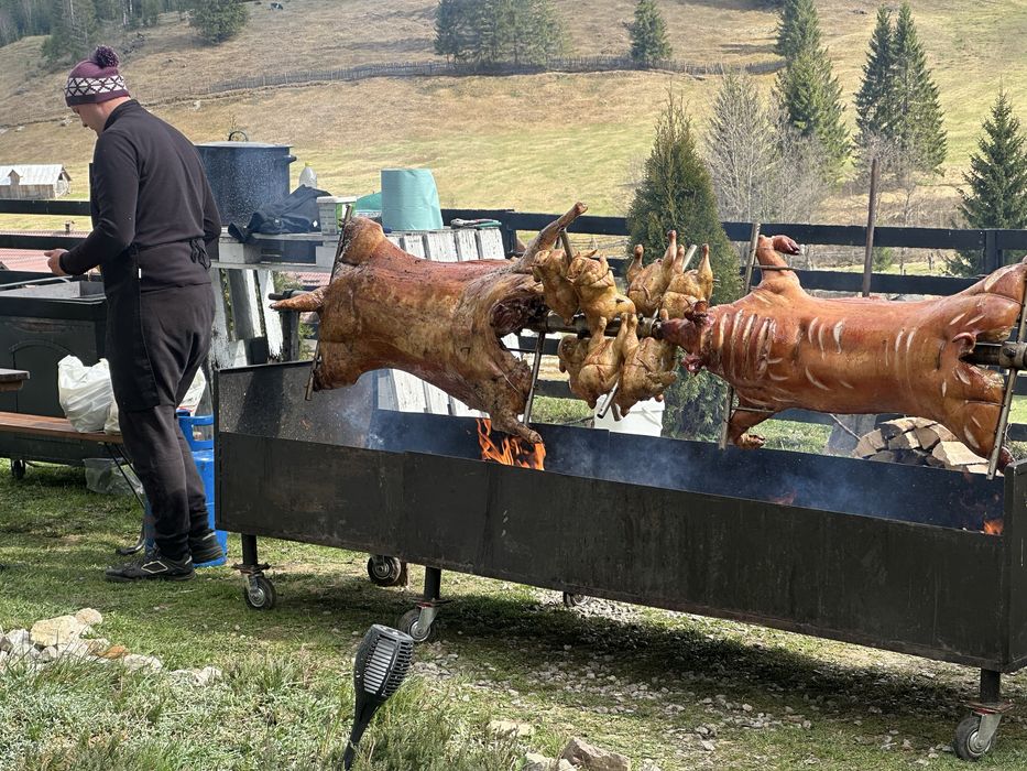 Porc, berbecut , vitel, pui, curcani toate pregatite la PROTAP!