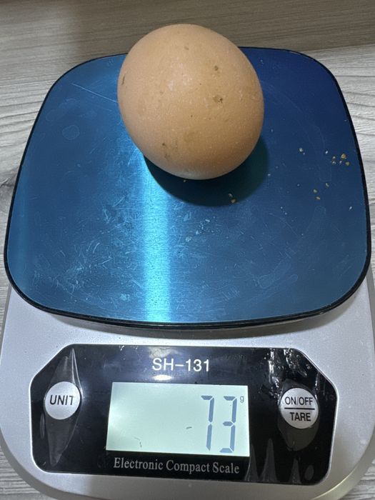 Яйца  куриные  домашние