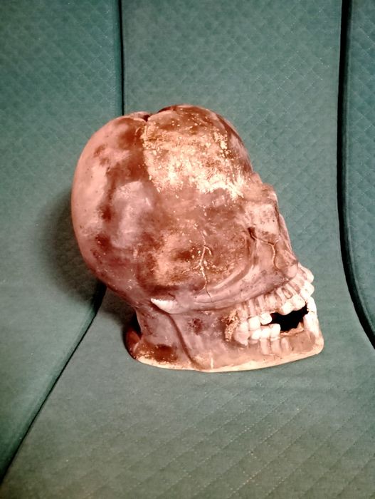 Craniu gorila 30 cm / Paleface Pan's Labyrinth