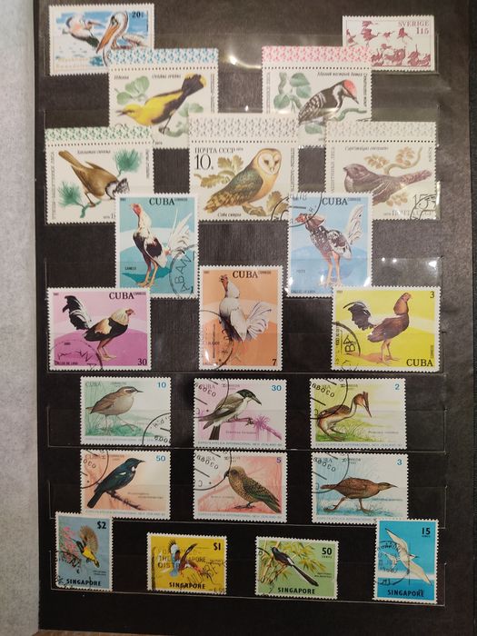 Почтовые марки. Альбом "Птицы".