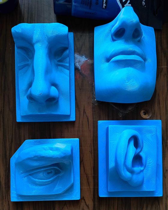 Нос, ухо, око и уста на Давид от Микеланджело