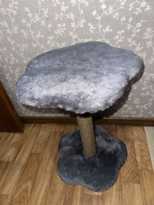 Когтеточка для котят