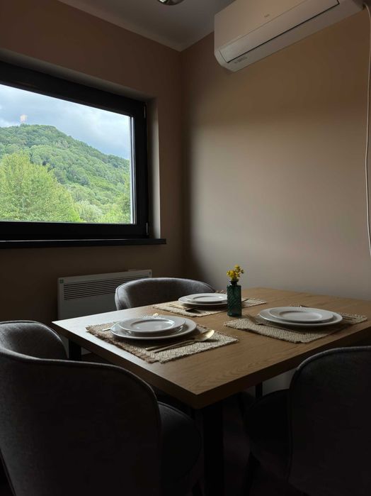 Cabanuta Rasnov, Brasov -  de inchiriat in regim hotelier