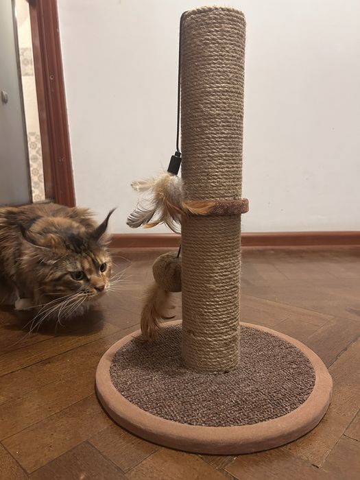 когтеточка для кошки