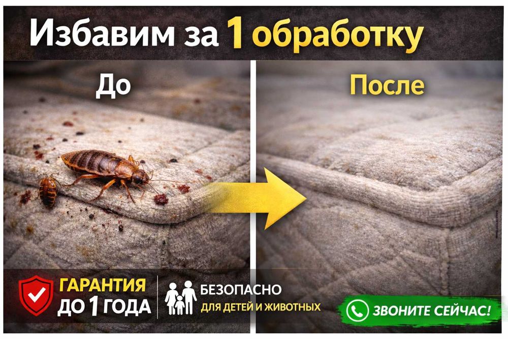 Дезинфекция Кокшетау | Обработка квартир СЭС