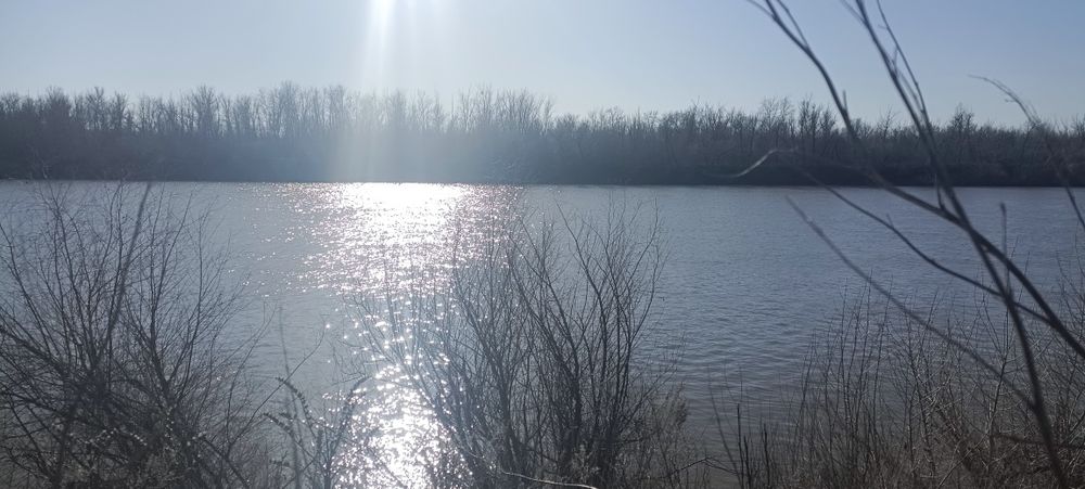 Сдам дачу в аренду