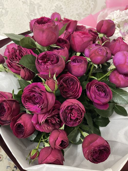 Цветы Астана Гүлдер Астана