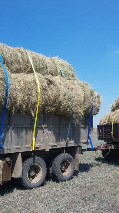 Продам сено россыпью разнотравье