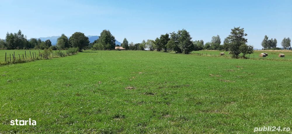 Teren 9350 mp Bran Livada, Extravilan
