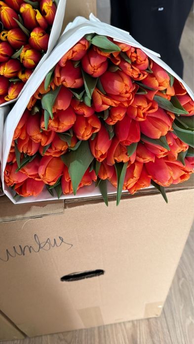 Тюльпан с оформлением