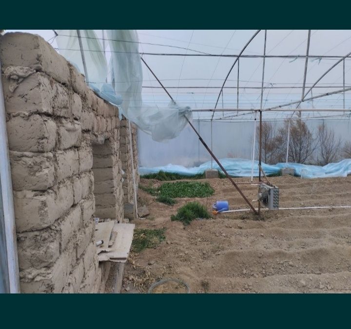 Issiqxona Pastdargʻom