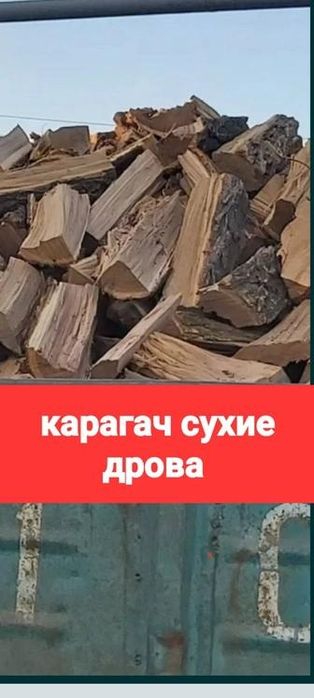 Продам дрова карагач мешками сухие.