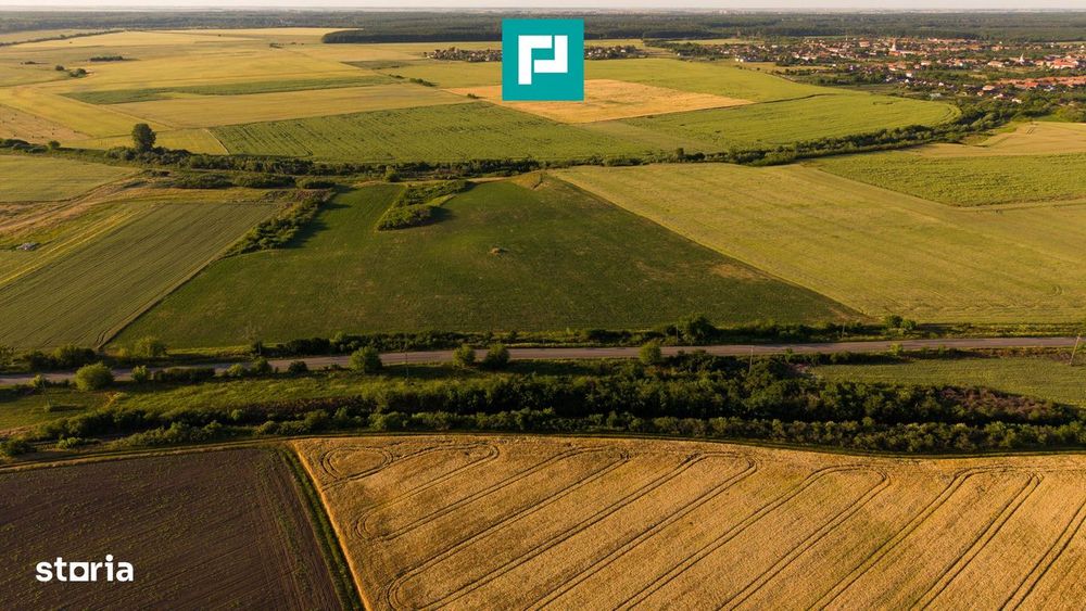 Teren Extravilan De 42.200 Mp Secusigiu