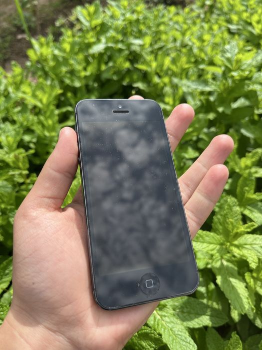 Iphone 5 ideal hamma narsasi ishlidi