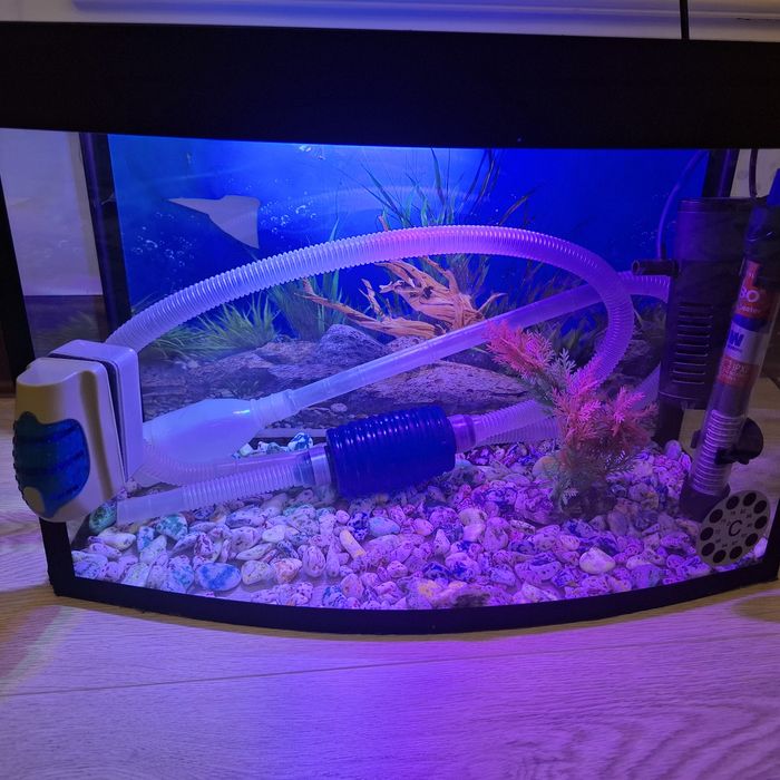 Аквариум для рыб