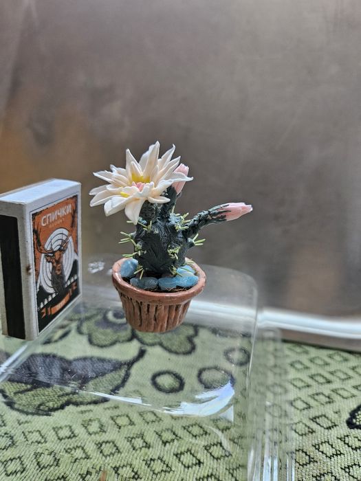 Кактусы сувенирные