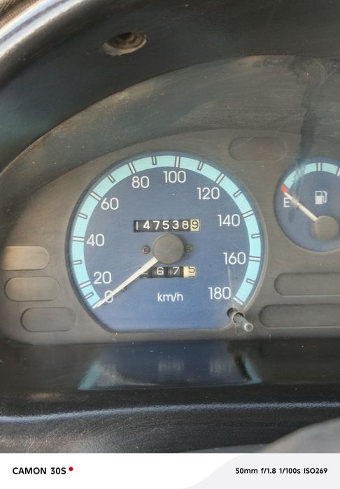 Matiz oq rang kafoli bilan