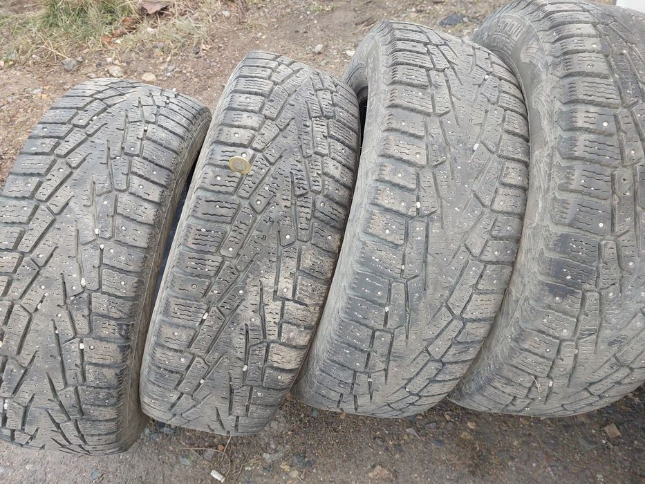 Шины.   Кардиант