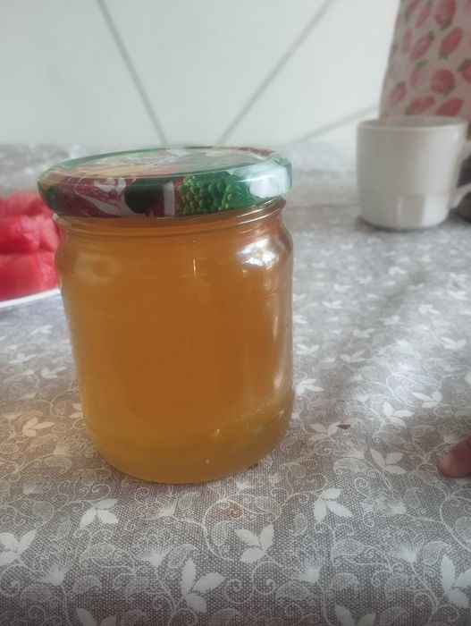 Asal arzon narxlarda