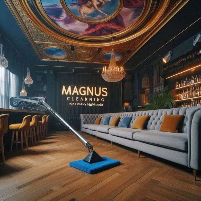 Servicii profesionale de curățare canapele, fotolii, scaune, saltele