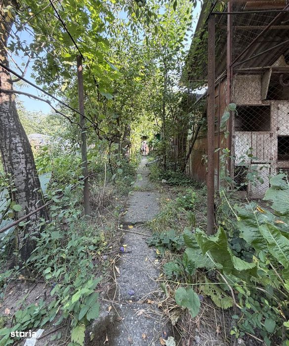 Casa individuala 6 camere, 165 mp utili, 641 mp teren - Ghiroda