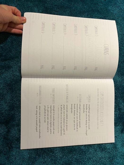 Caiet interactiv de română Izzie Publishing nou nouț